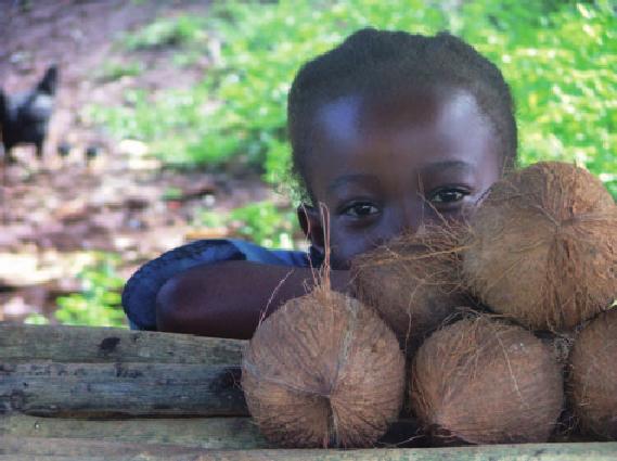 Un enfant à côté de noix de cocos